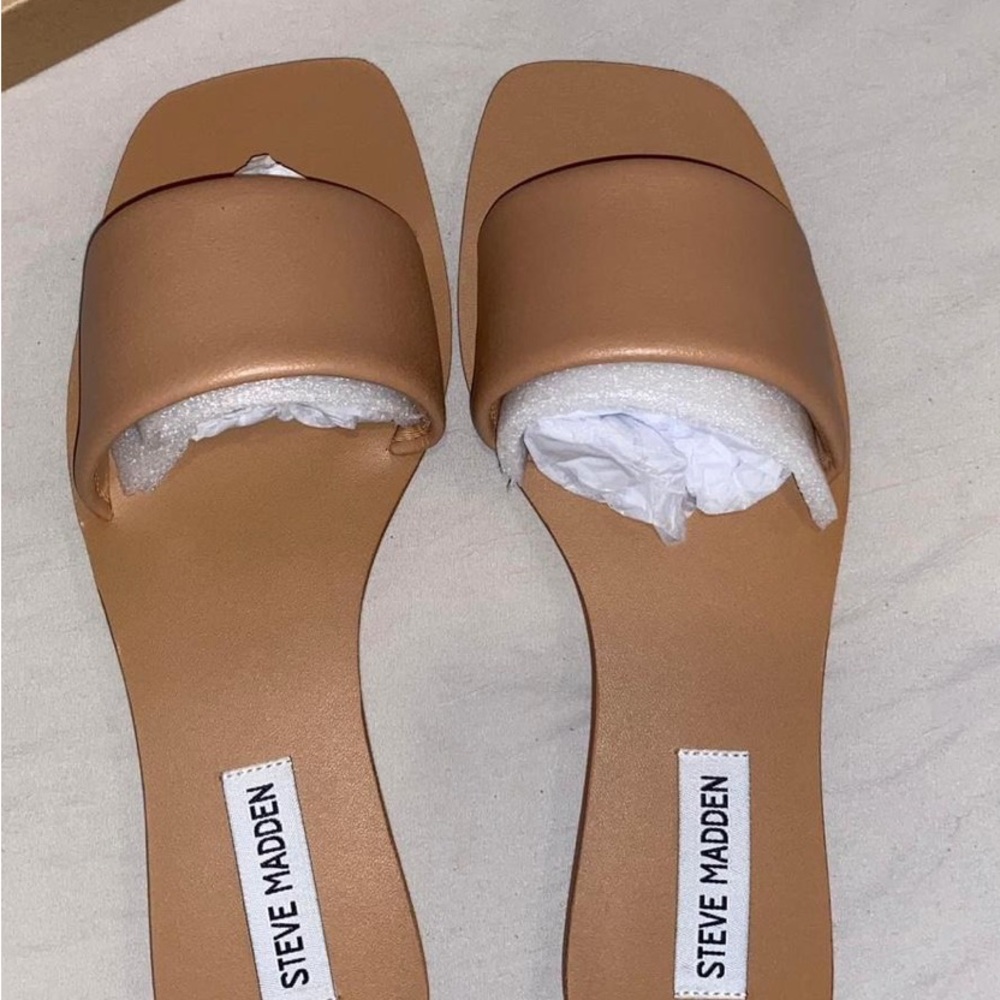 Steve Madden Brown Women's Slide Sandals